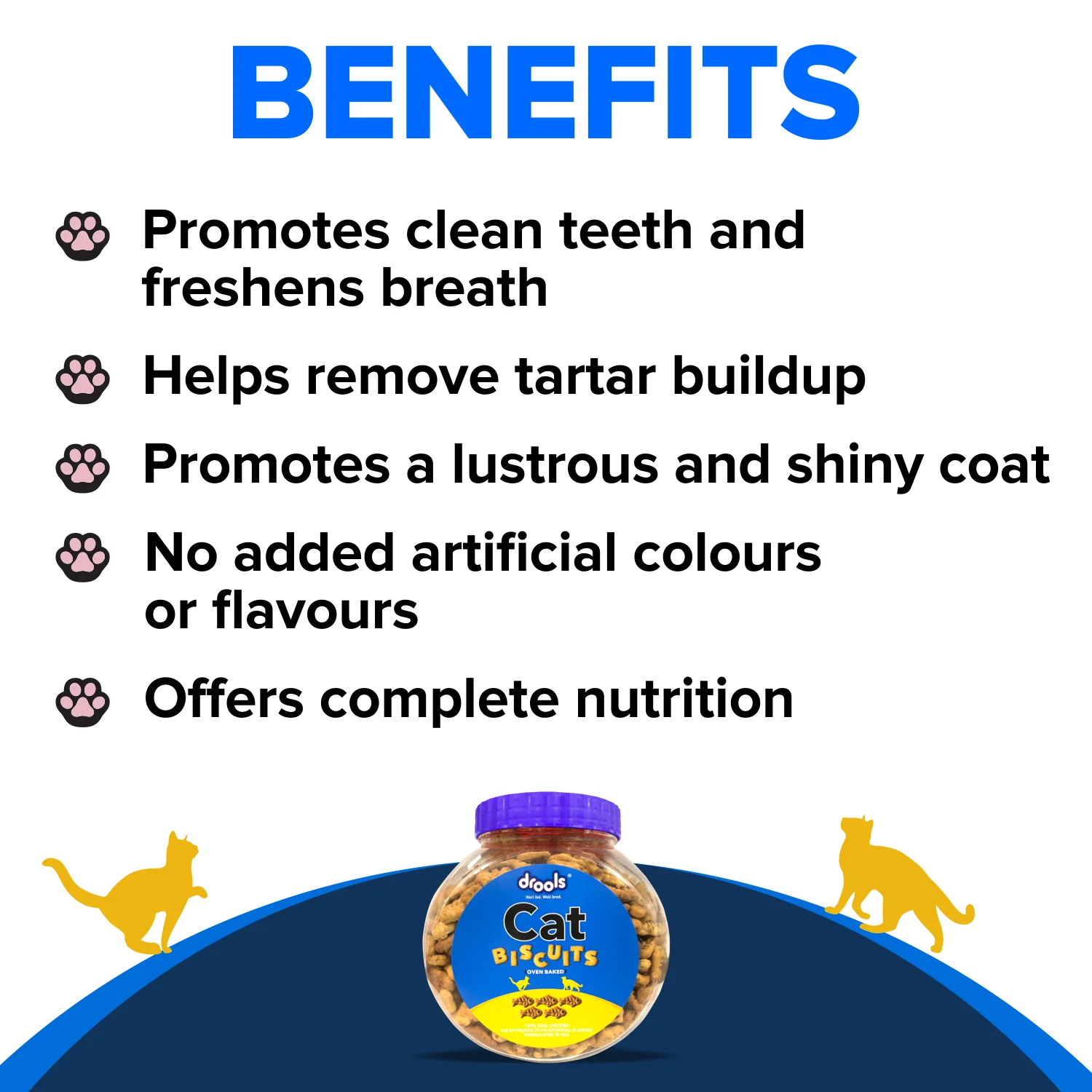 Drools Biscuit Cat Treat (110g) - Image 5