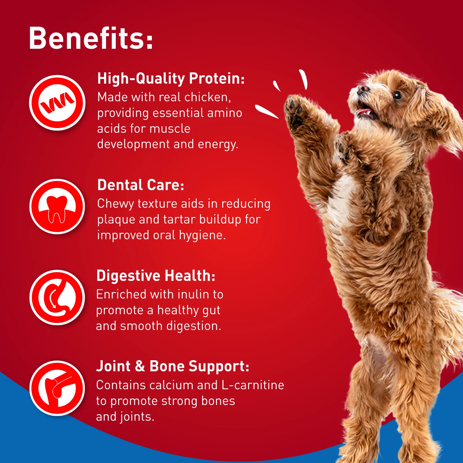 Drools Blueberry Flavour Chicken Sticks Treat for Dogs - Image 4