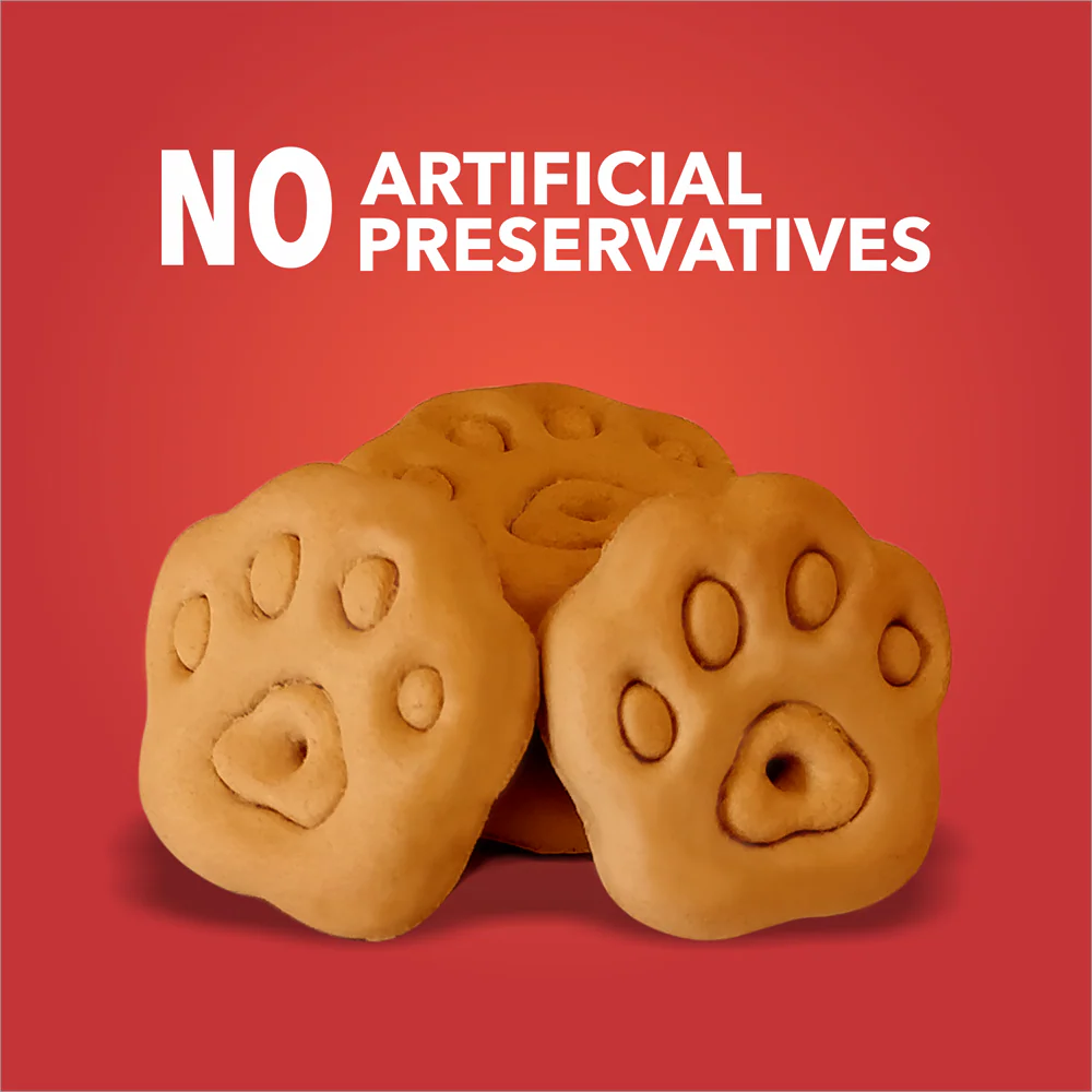 Drools Chicken and Egg Biscuit Dog Treats - Image 6