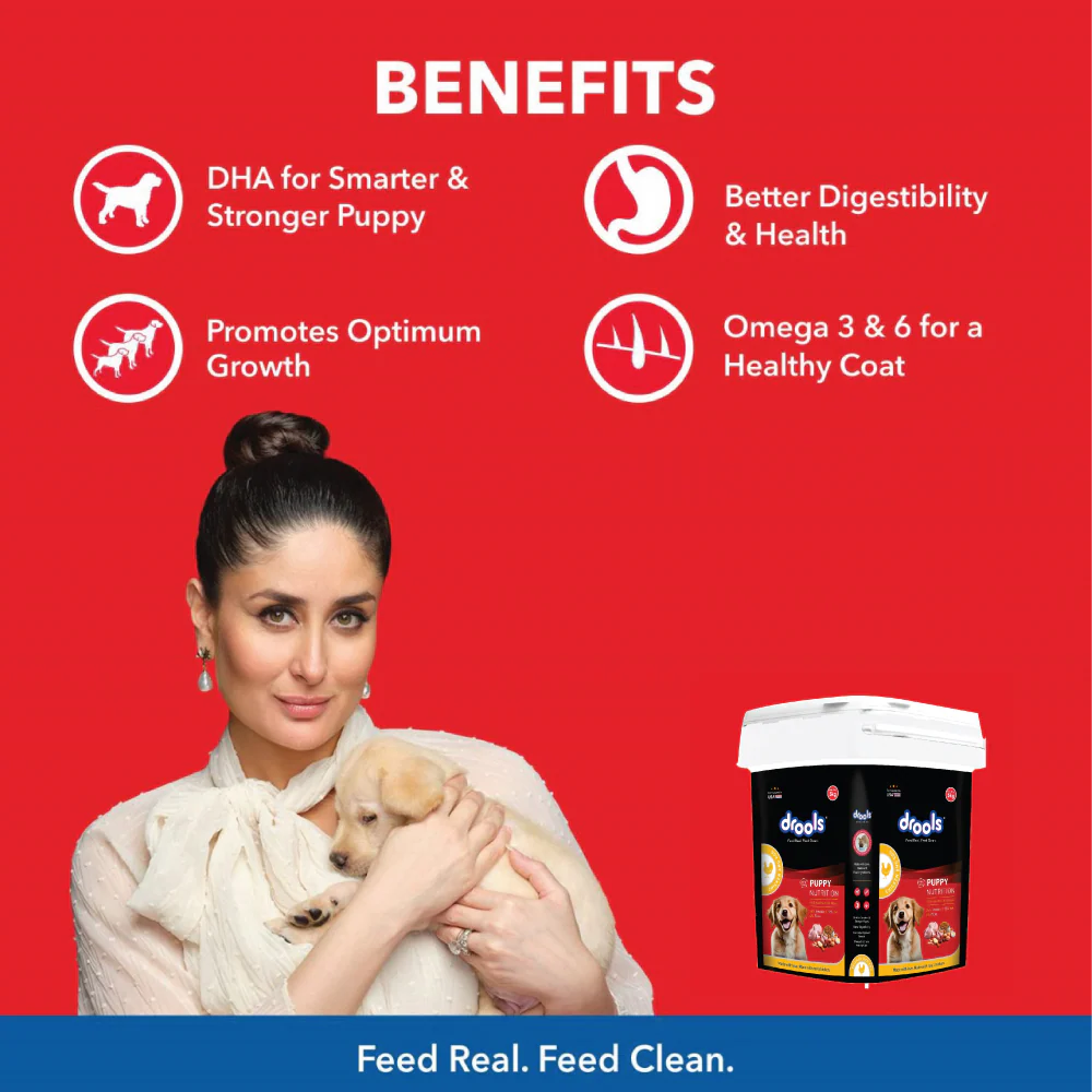 Drools Chicken and Egg Puppy Dog Dry Food - Image 17
