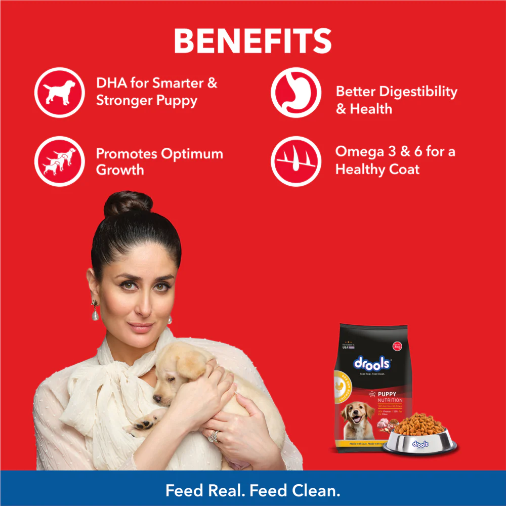 Drools Chicken and Egg Puppy Dog Dry Food - Image 2