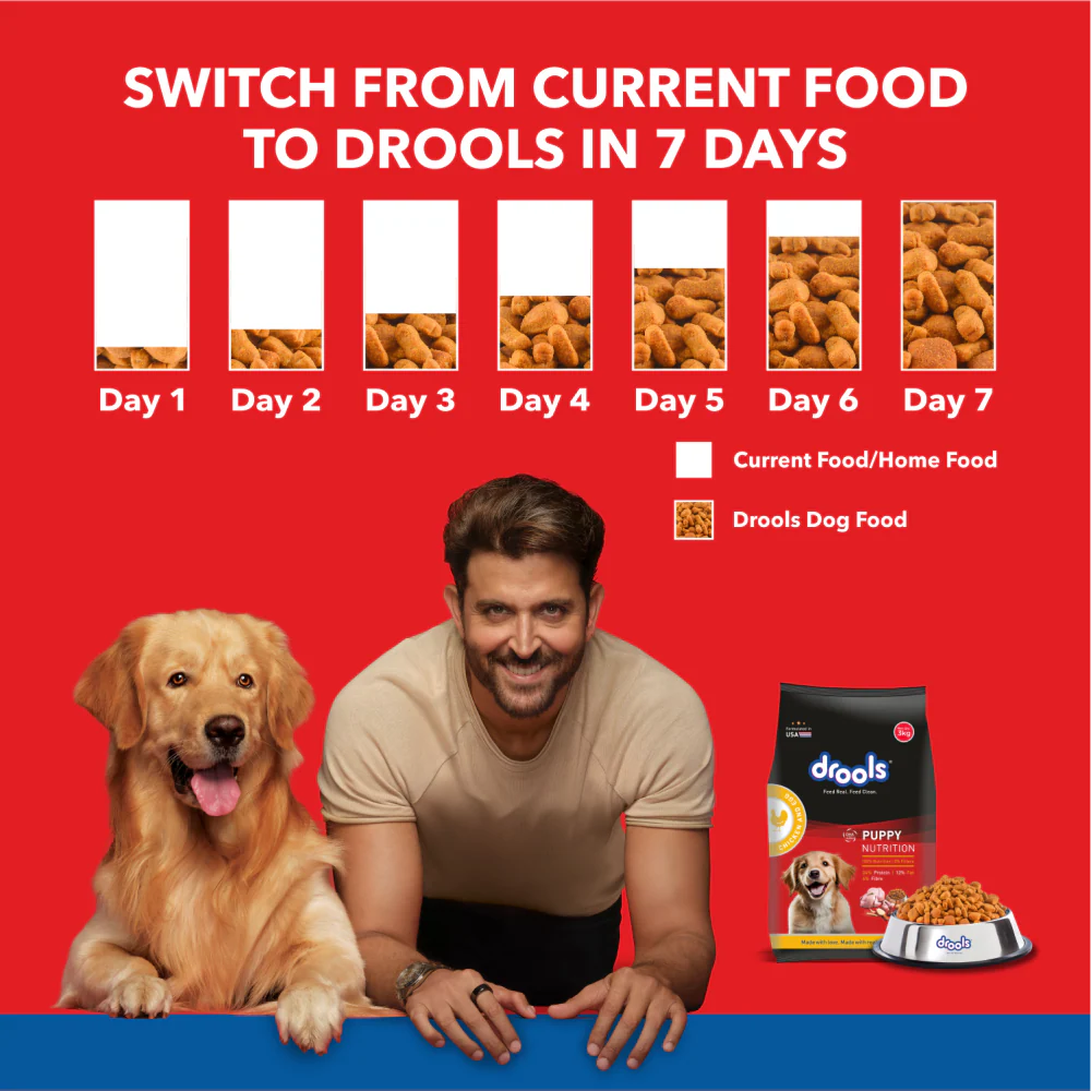 Drools Chicken and Egg Puppy Dog Dry Food - Image 4