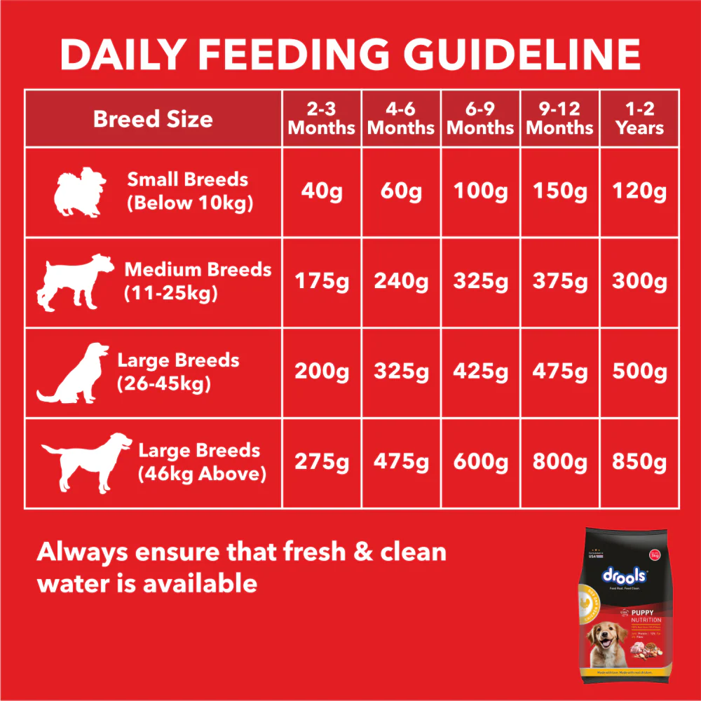 Drools Chicken and Egg Puppy Dog Dry Food - Image 5