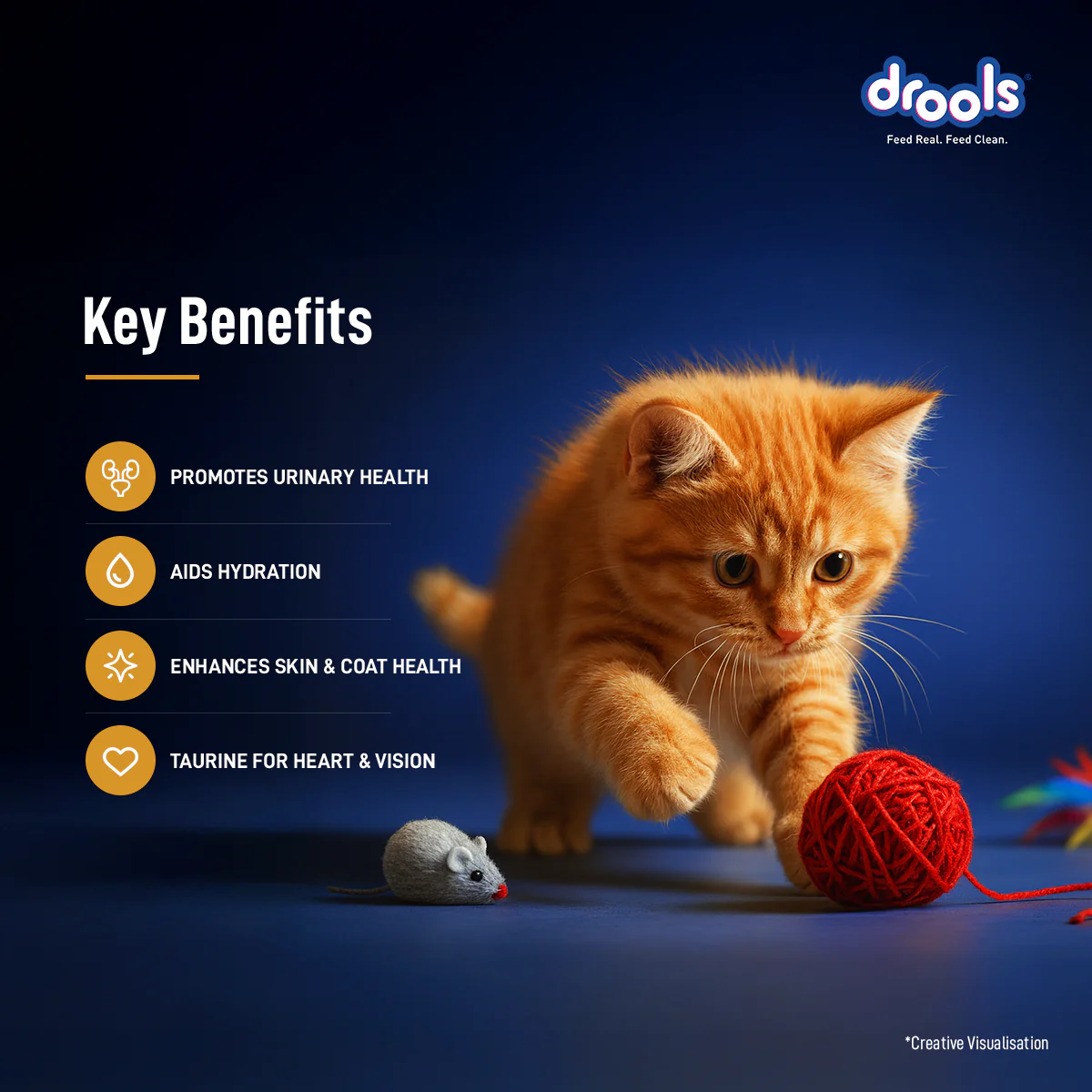 Drools Chicken Mousse Kitten Cat Wet Food - Image 6