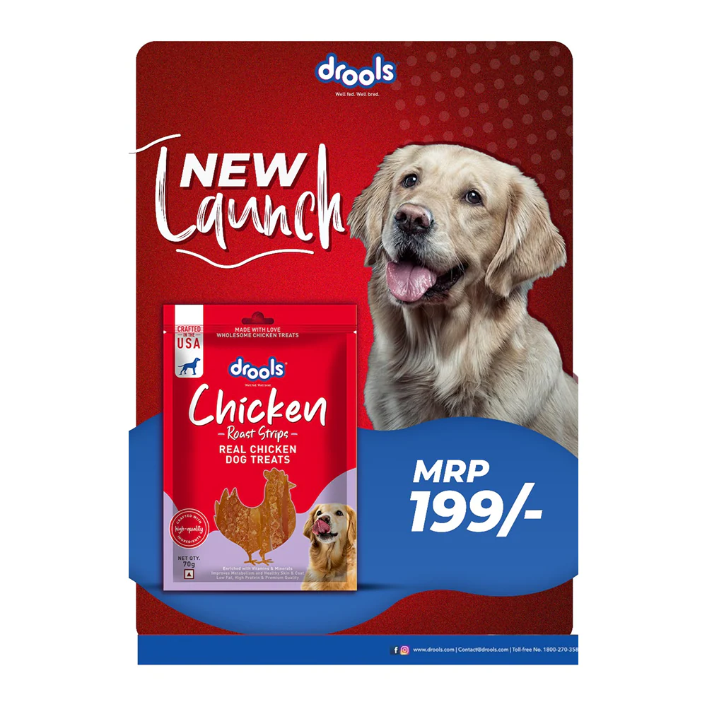 Drools Chicken Roast Strips Dogs Treats - Image 3