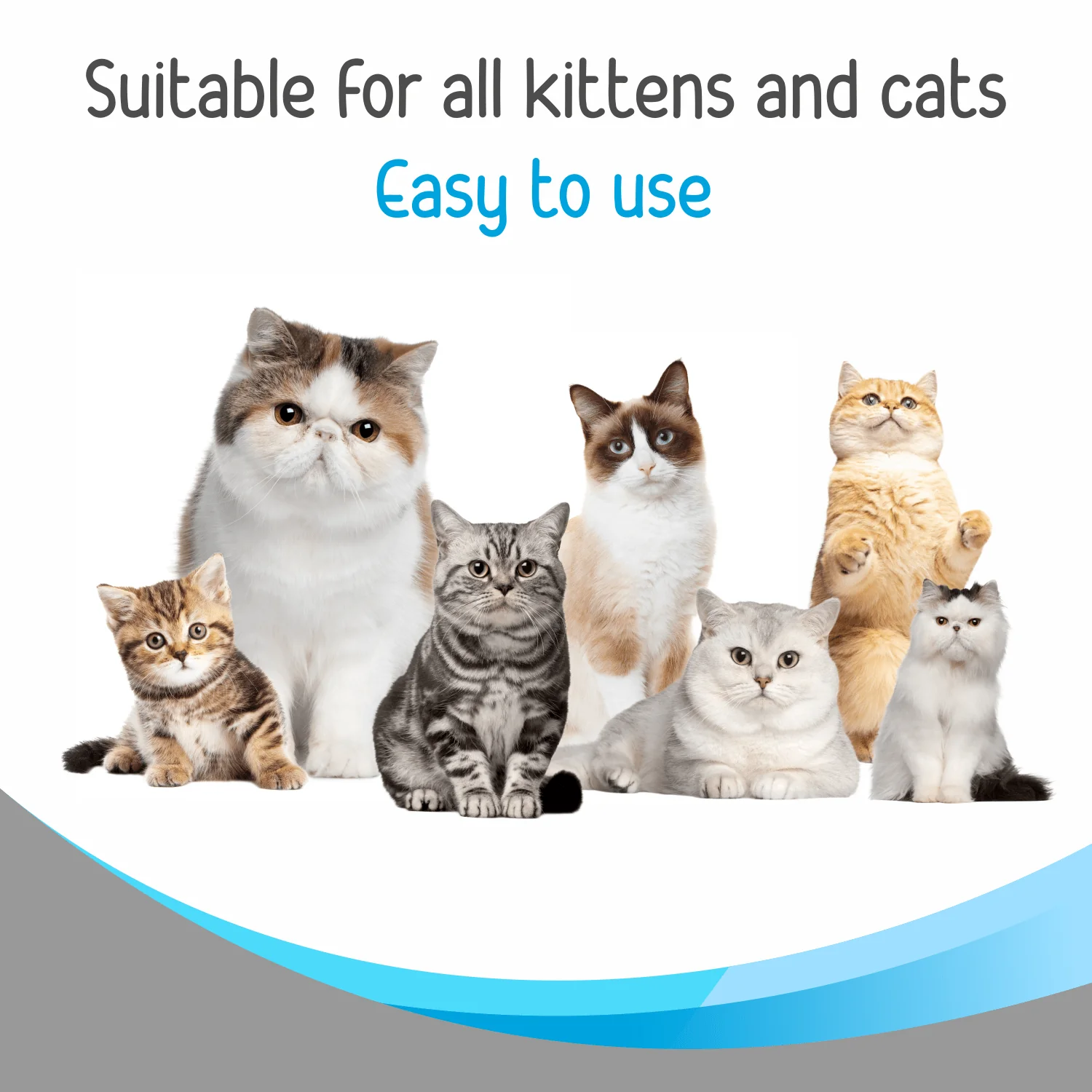 Drools Complete Care Shampoo for Cats - Image 6