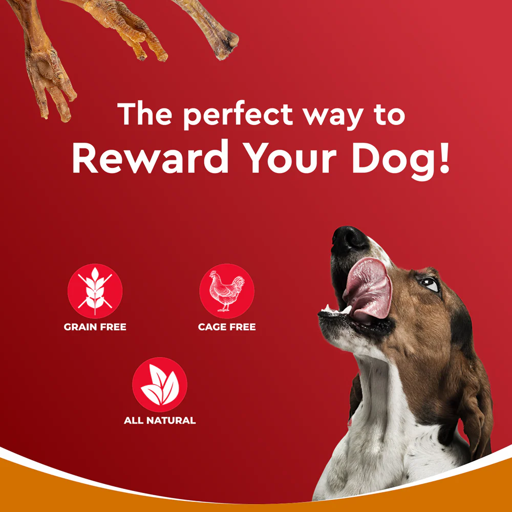 Drools Dehydrated Real Chicken Feet Chews Treat for Dogs - Image 7