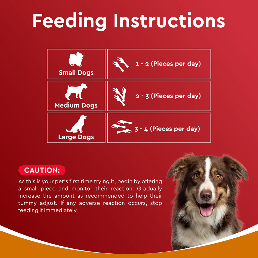 Drools Dehydrated Real Chicken Feet Chews Treat for Dogs - Image 9