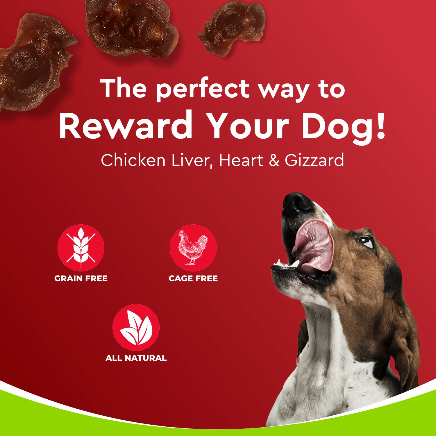 Drools Dehydrated Real Chicken Giblets Chews Treat for Dogs - Image 7