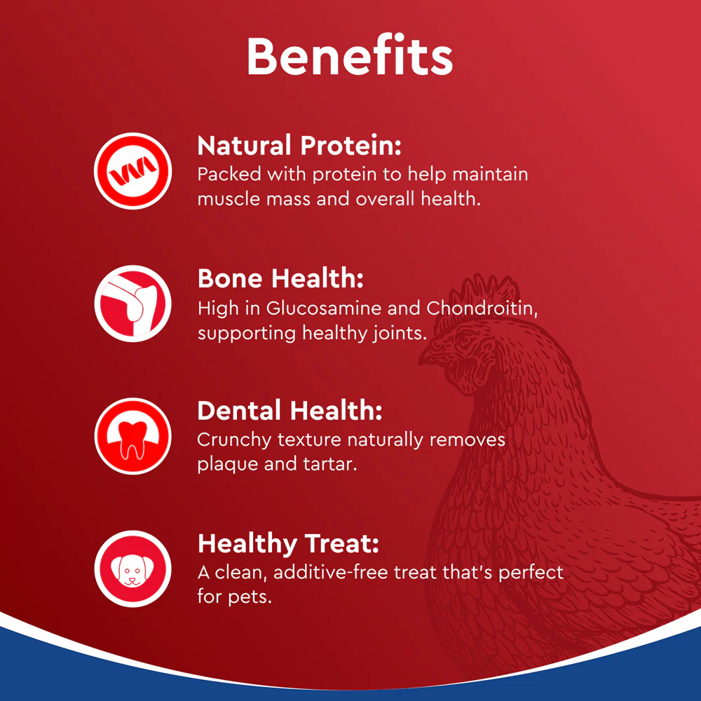 Drools Dehydrated Real Chicken Necks Chews Treat for Dogs - Image 5