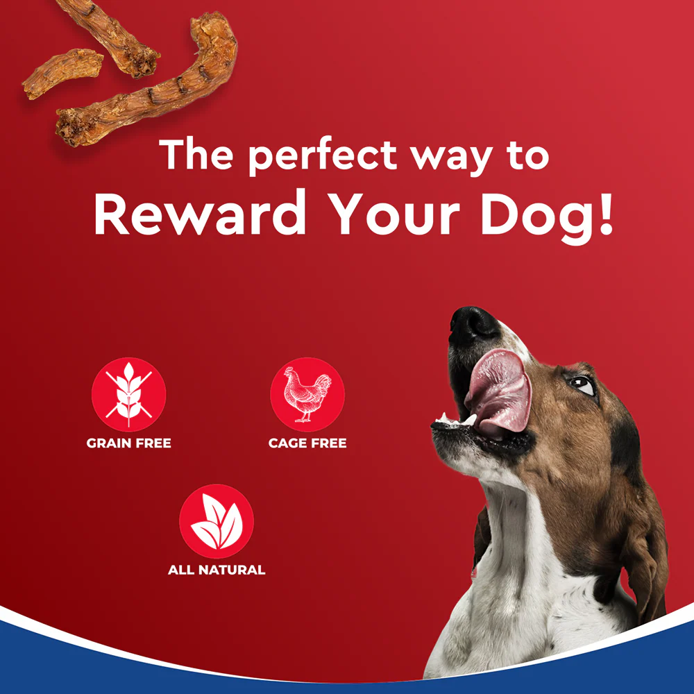 Drools Dehydrated Real Chicken Necks Chews Treat for Dogs - Image 7