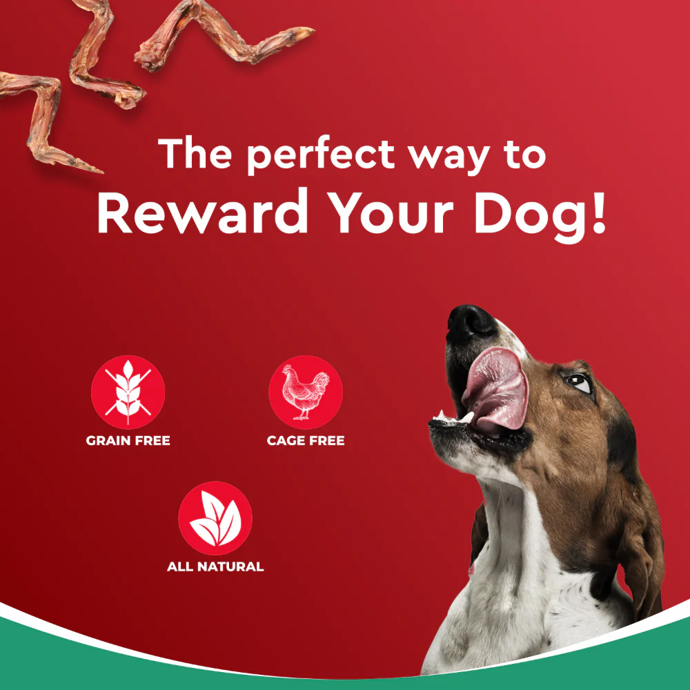 Drools Dehydrated Real Chicken Wing Chews Treat for Dogs - Image 7