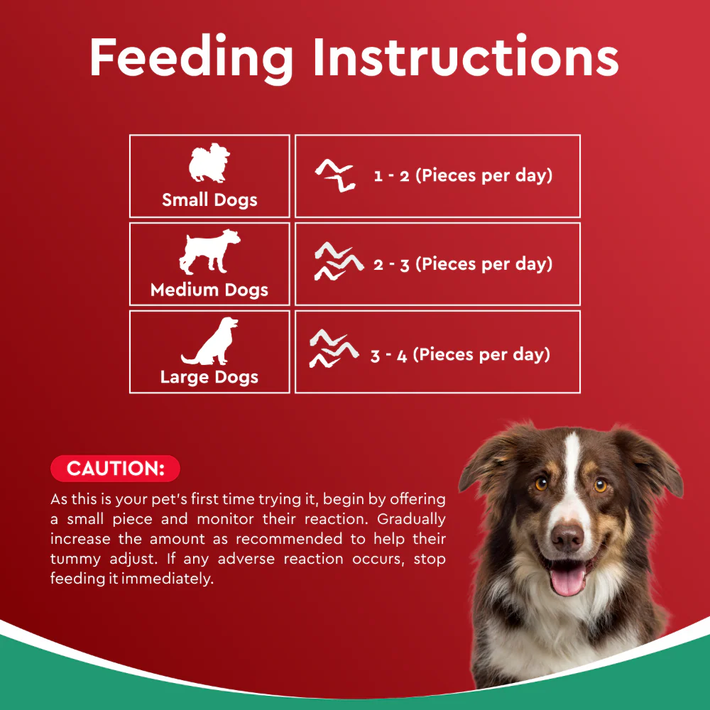 Drools Dehydrated Real Chicken Wing Chews Treat for Dogs - Image 9
