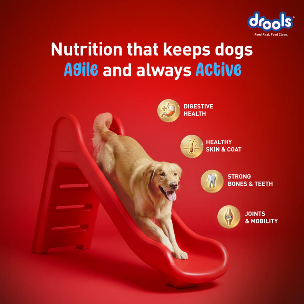Drools Fish and Rice Adult Dog Dry Food - Image 2