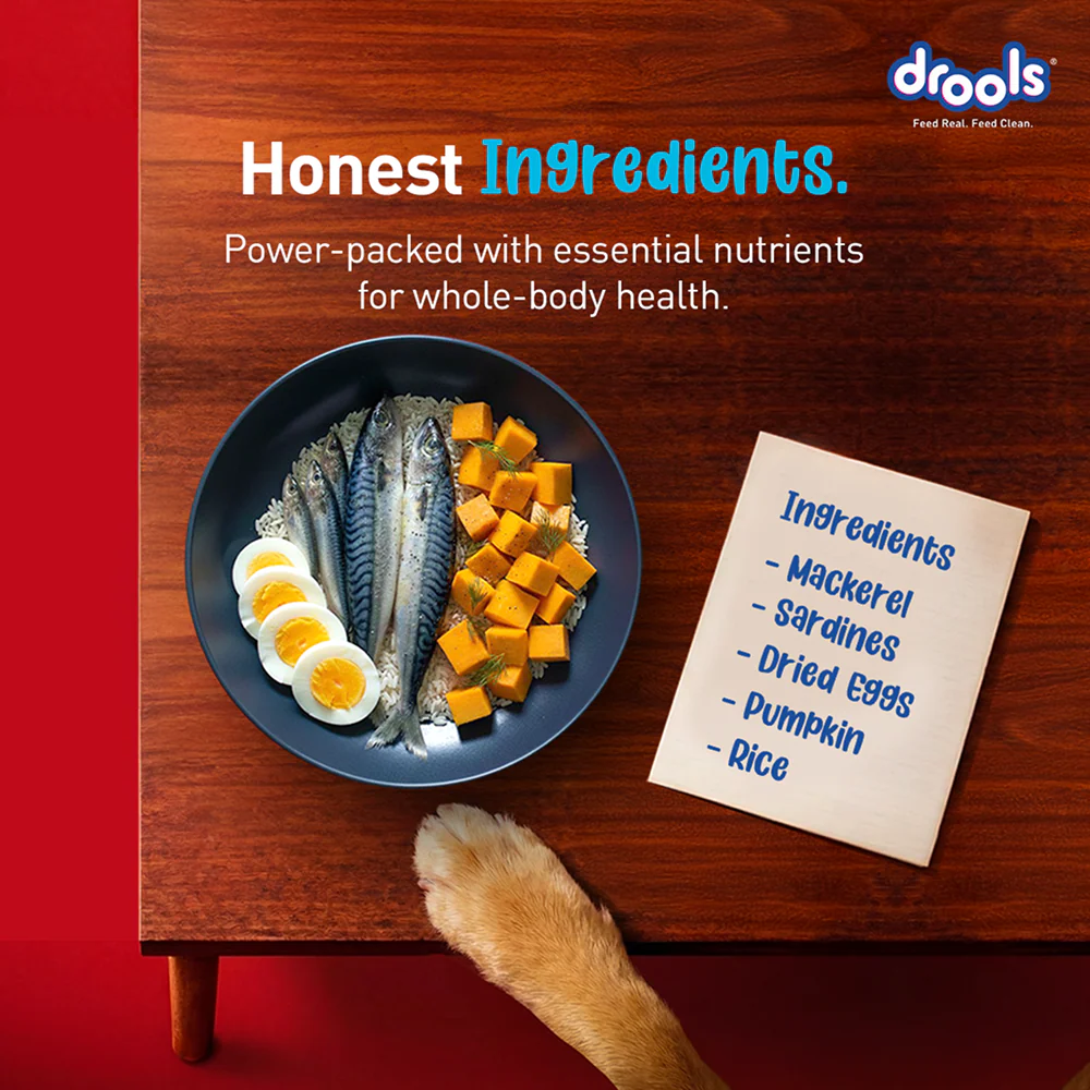 Drools Fish and Rice Adult Dog Dry Food - Image 3