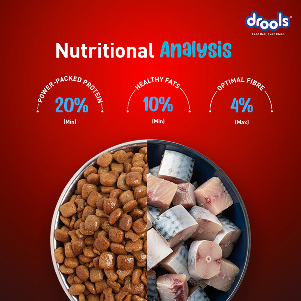 Drools Fish and Rice Adult Dog Dry Food - Image 4