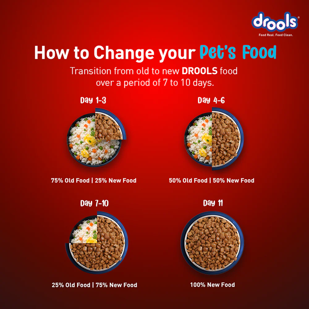Drools Fish and Rice Adult Dog Dry Food - Image 5
