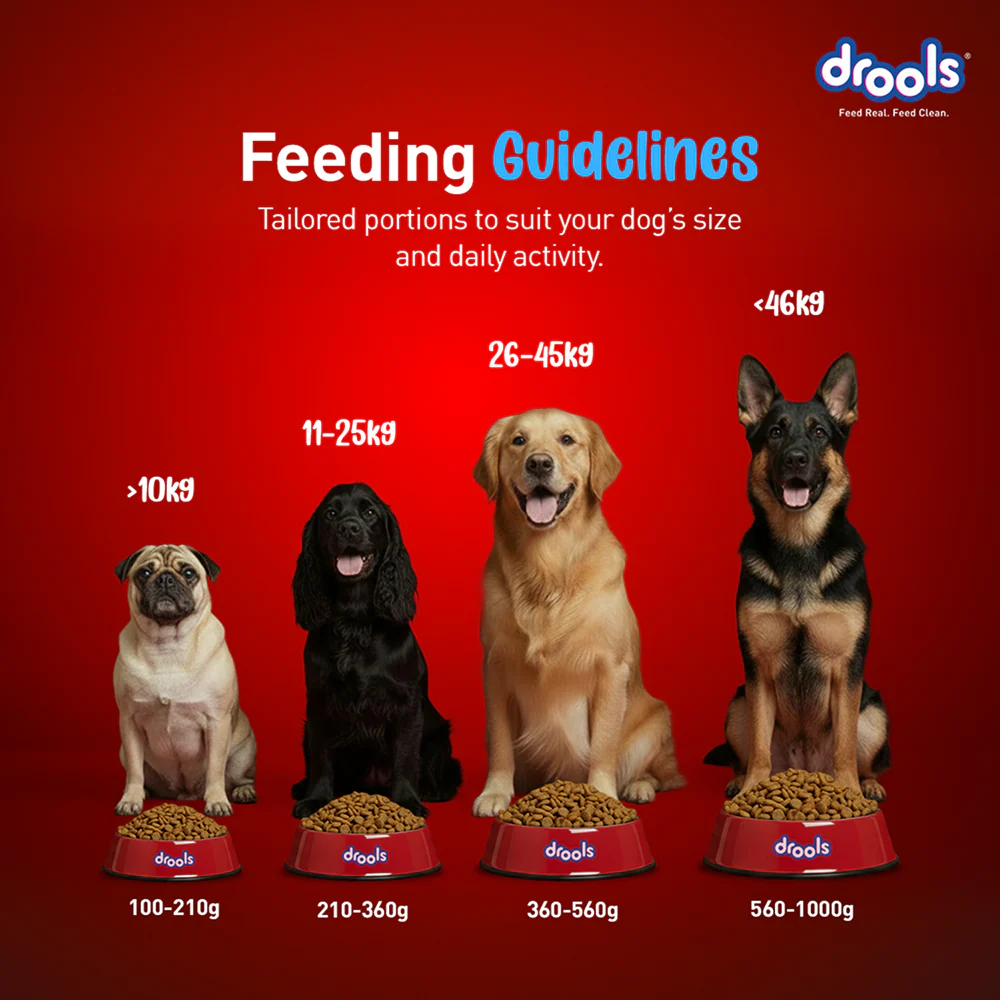 Drools Fish and Rice Adult Dog Dry Food - Image 6
