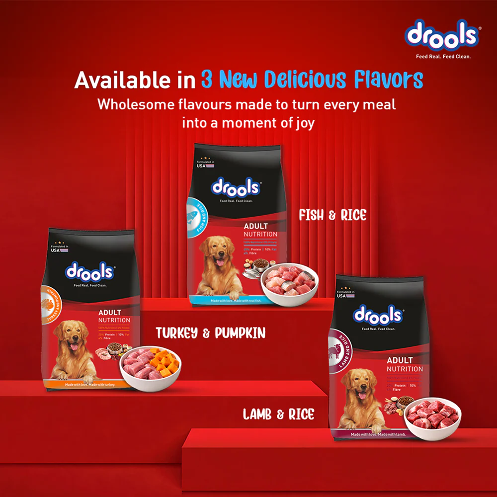 Drools Fish and Rice Adult Dog Dry Food - Image 8