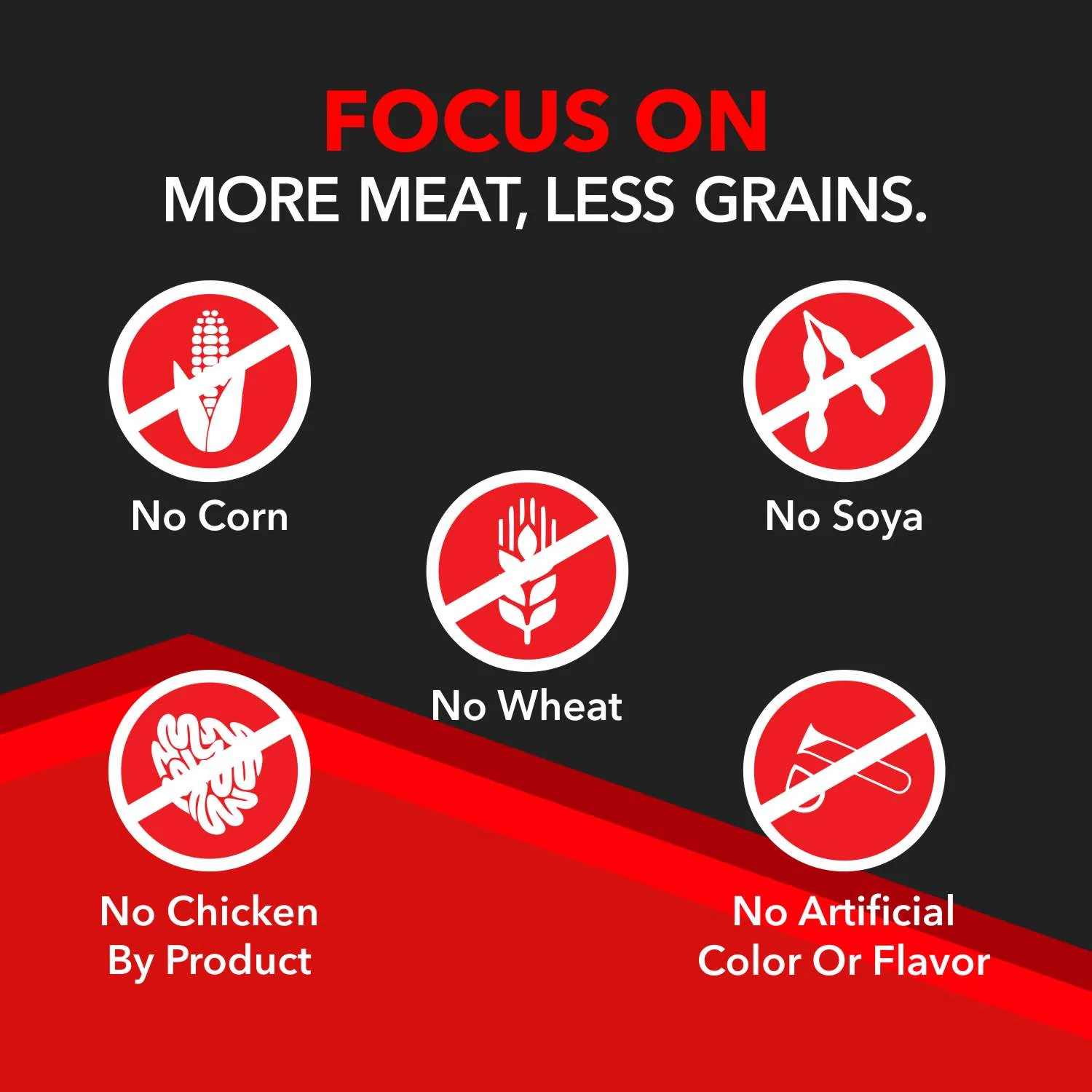 Drools Focus Super Premium Puppy Dog Dry Food | Corn & Wheat Free Formula - Image 5