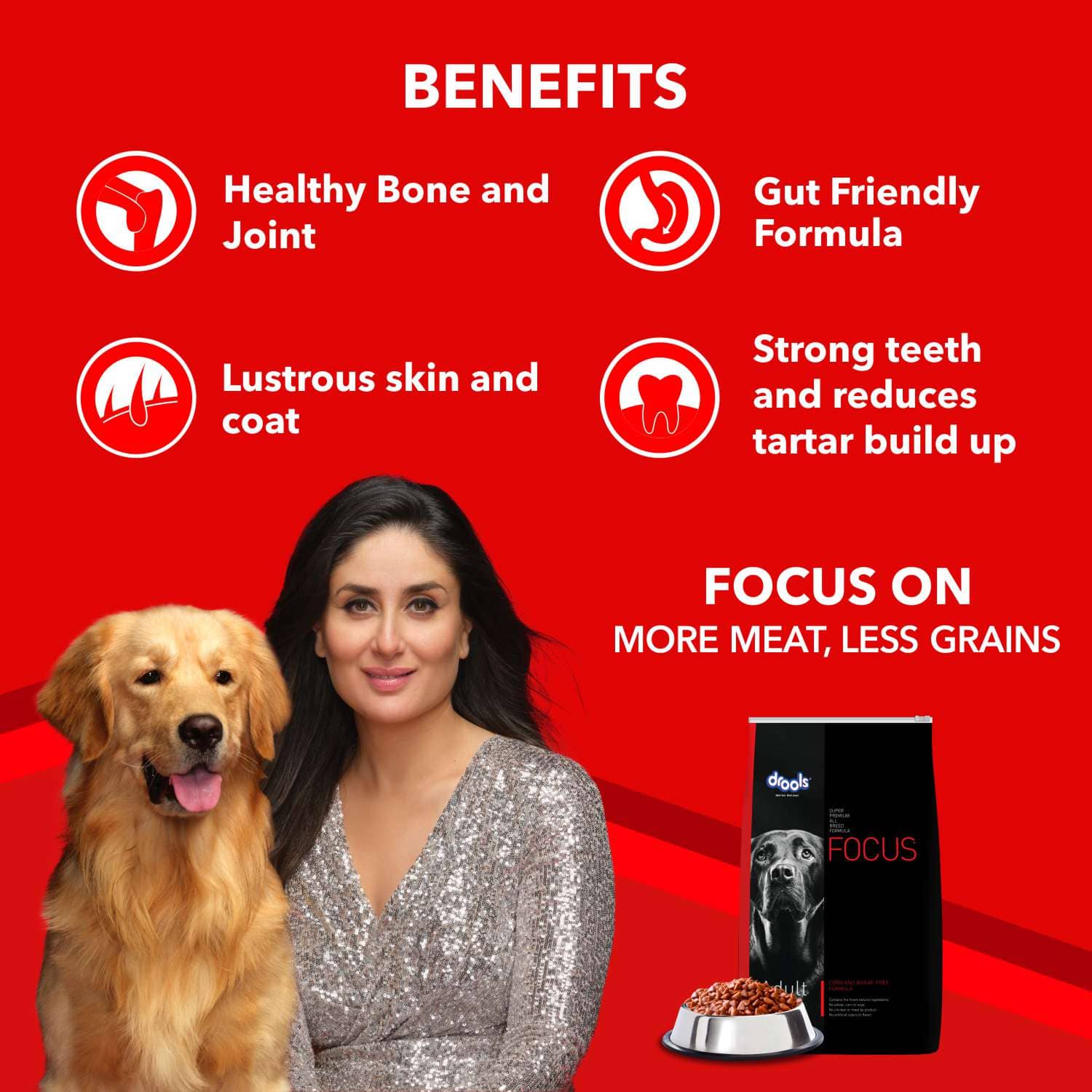 Drools Focus Super Premium Adult Dry Dog Food and Real Chicken & Chicken Liver Chunks in Gravy Adult Dog Wet Food Combo - Image 7