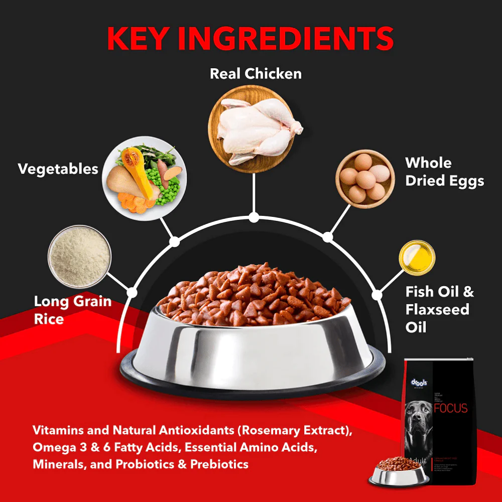 Drools Focus Super Premium Adult Dry Dog Food and Real Chicken & Chicken Liver Chunks in Gravy Adult Dog Wet Food Combo - Image 8