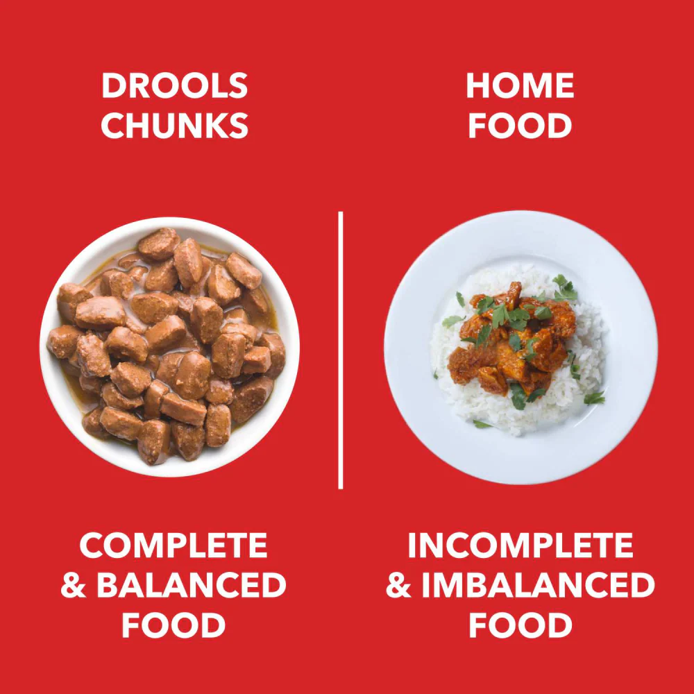 Drools Focus Super Premium Dry Food and Chicken & Chicken Liver Chunks in Gravy Puppy Dog Wet Food Combo - Image 11