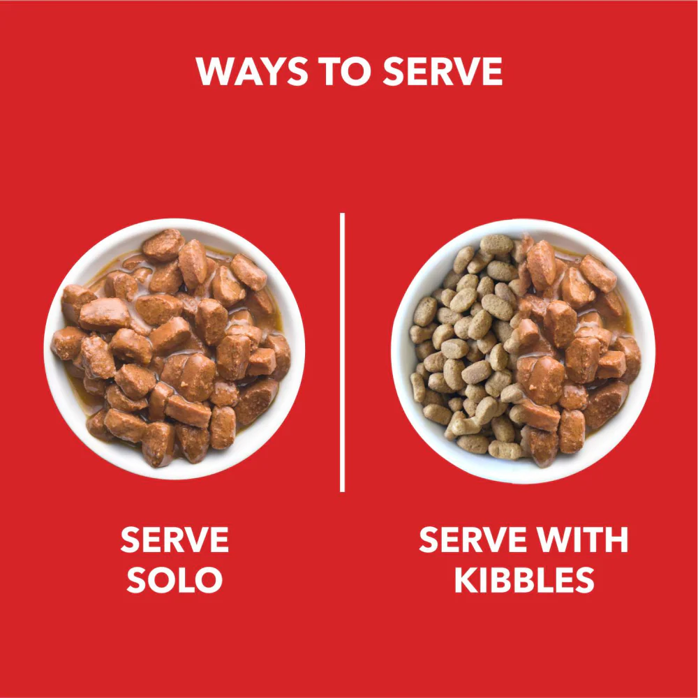 Drools Focus Super Premium Dry Food and Chicken & Chicken Liver Chunks in Gravy Puppy Dog Wet Food Combo - Image 12