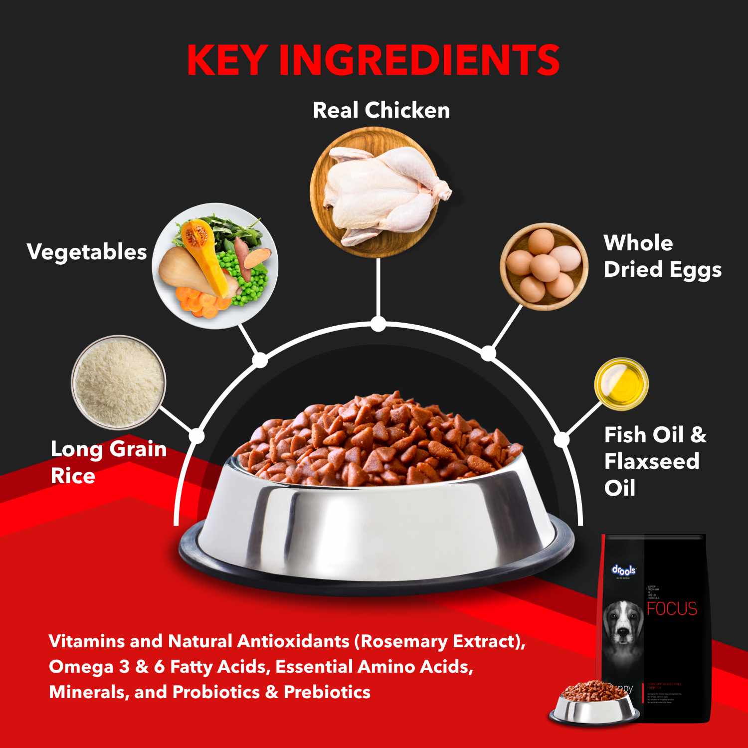Drools Focus Super Premium Puppy Dog Dry Food | Corn & Wheat Free Formula - Image 3