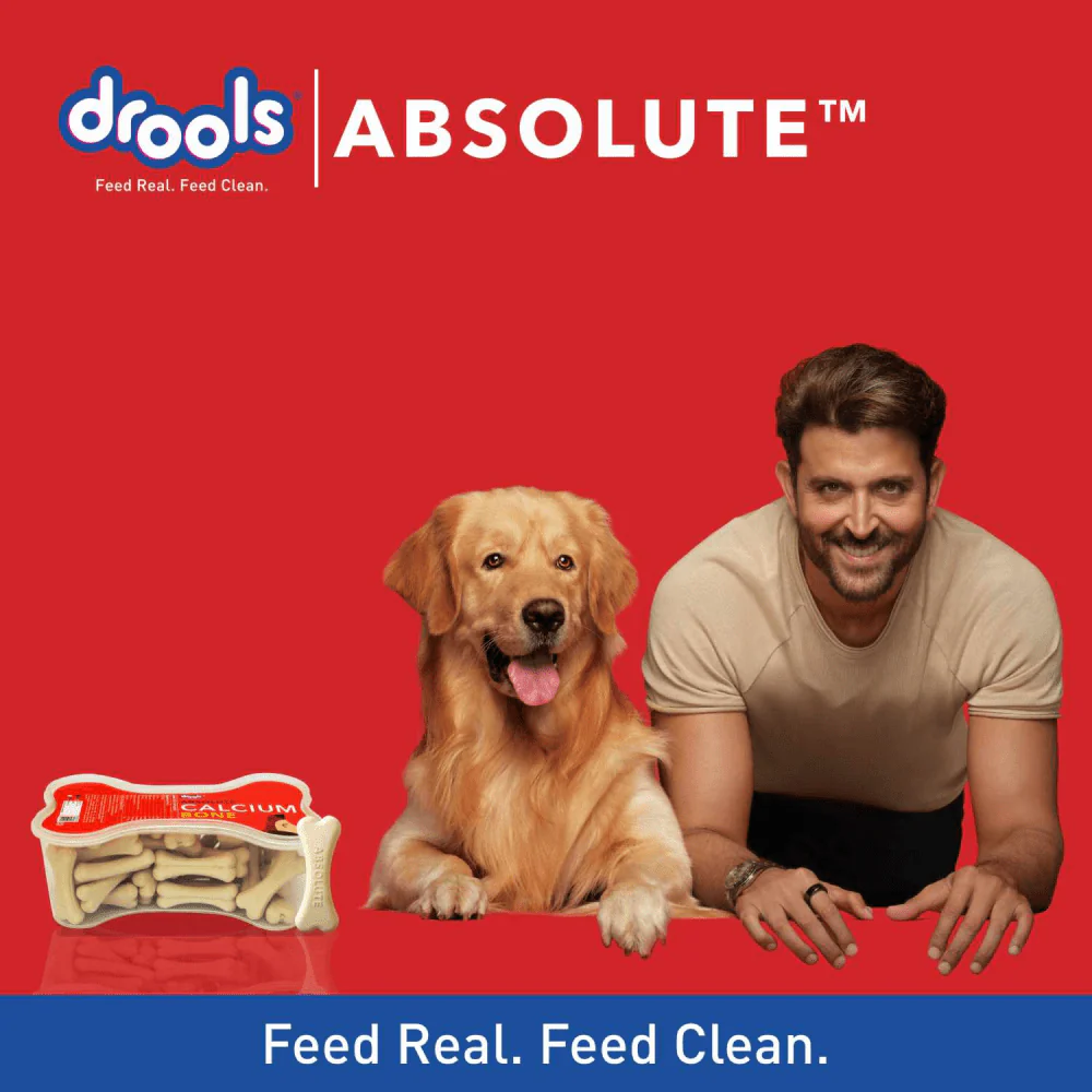 Drools Focus Super Puppy and Absolute Calcium Bone Jar Dog Dry Food Combo - Image 11