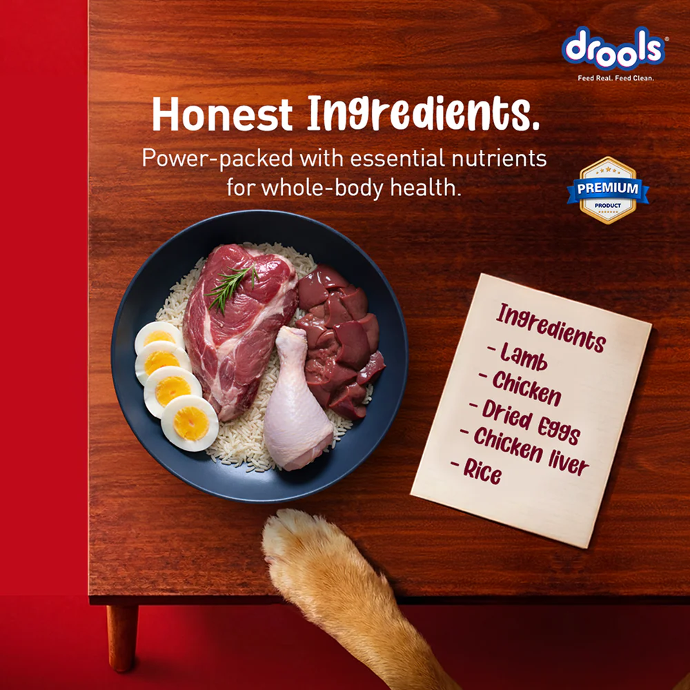 Drools Lamb and Rice Adult Dog Dry Food - Image 3