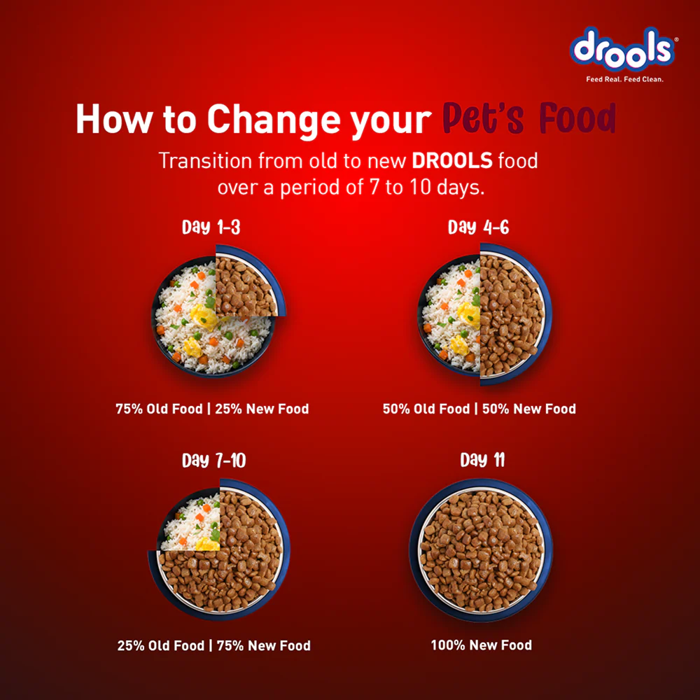 Drools Lamb and Rice Adult Dog Dry Food - Image 5