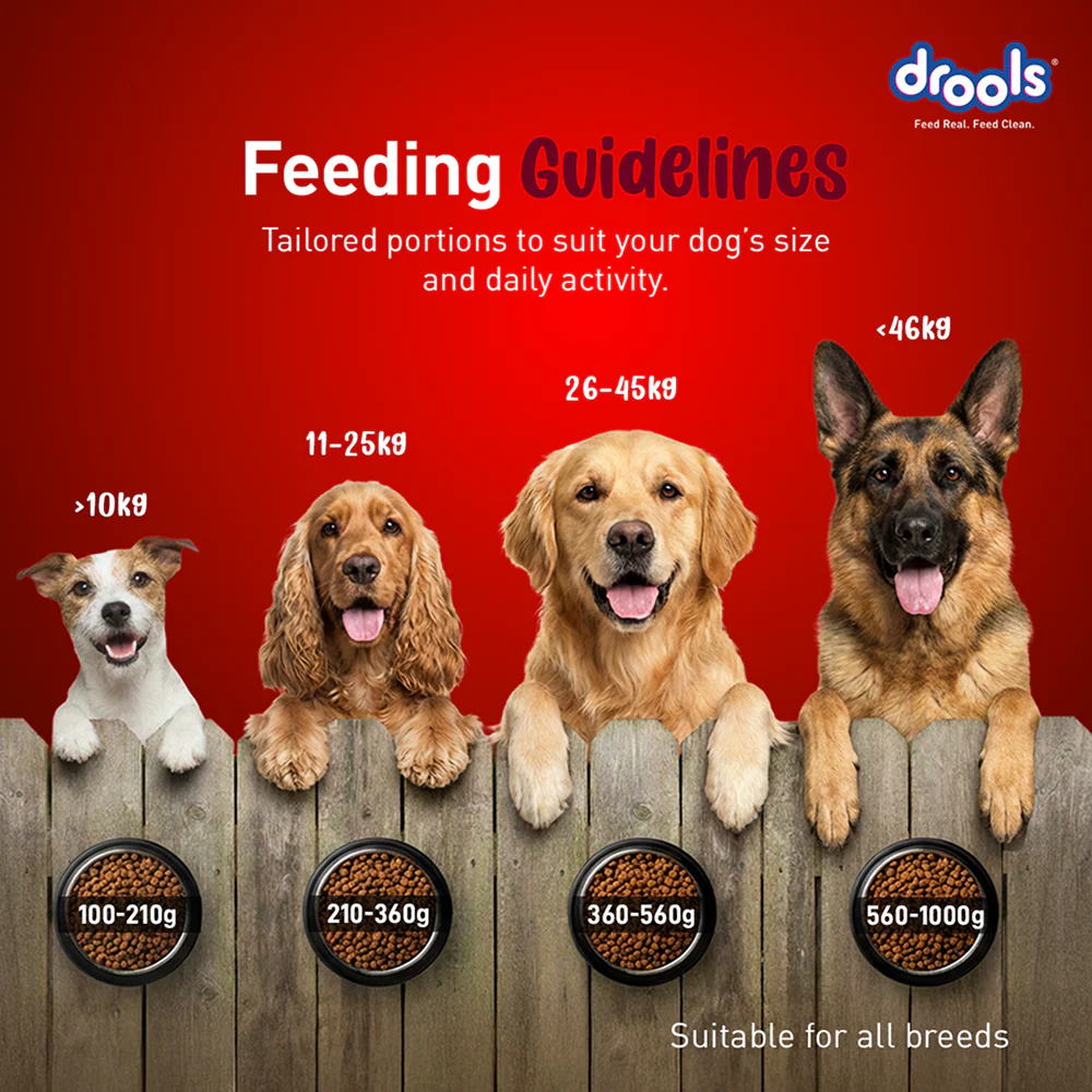 Drools Lamb and Rice Adult Dog Dry Food - Image 6