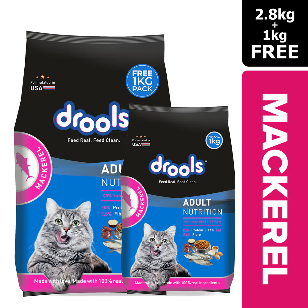 Drools Mackerel Adult Cat Dry Food - Image 12