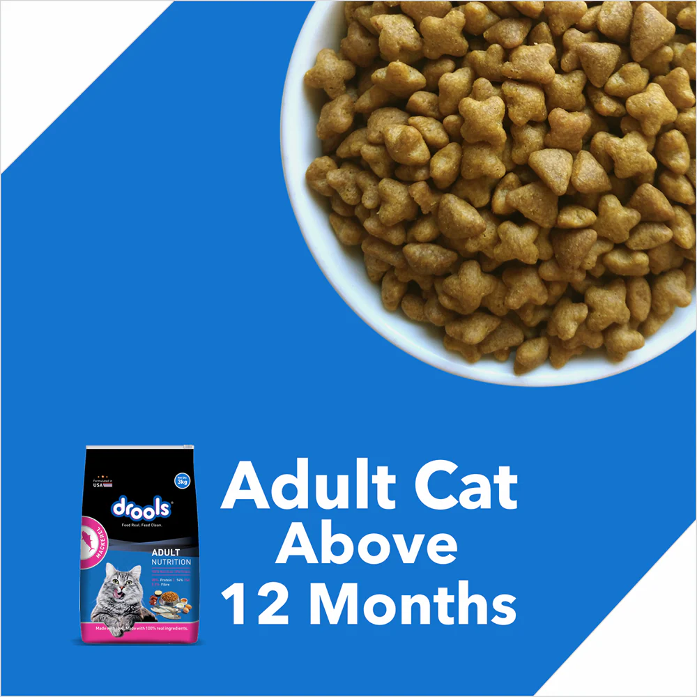 Drools Mackerel Adult Cat Dry Food - Image 13