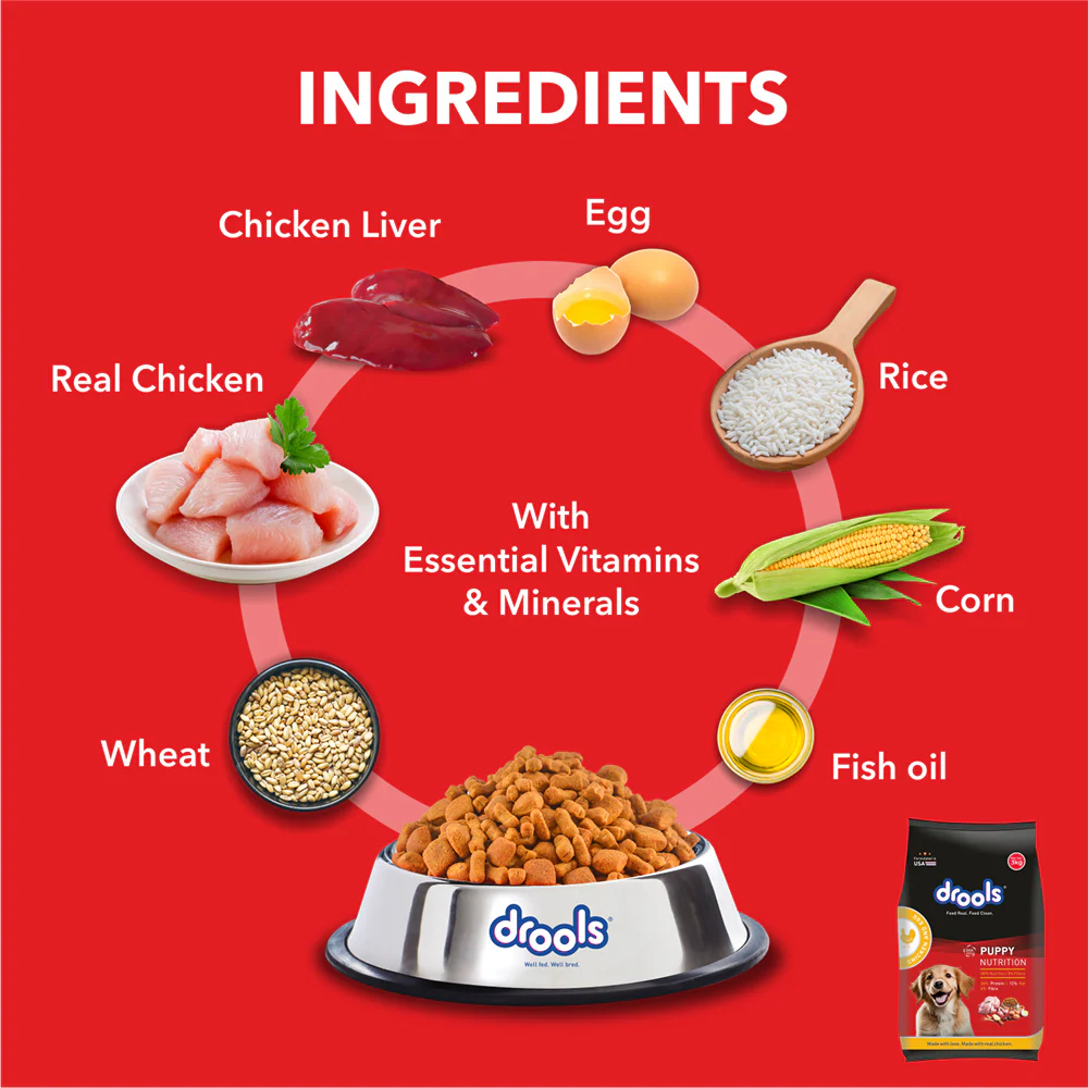 Drools Meat and Milk Puppy Dog Dry Food - Image 2