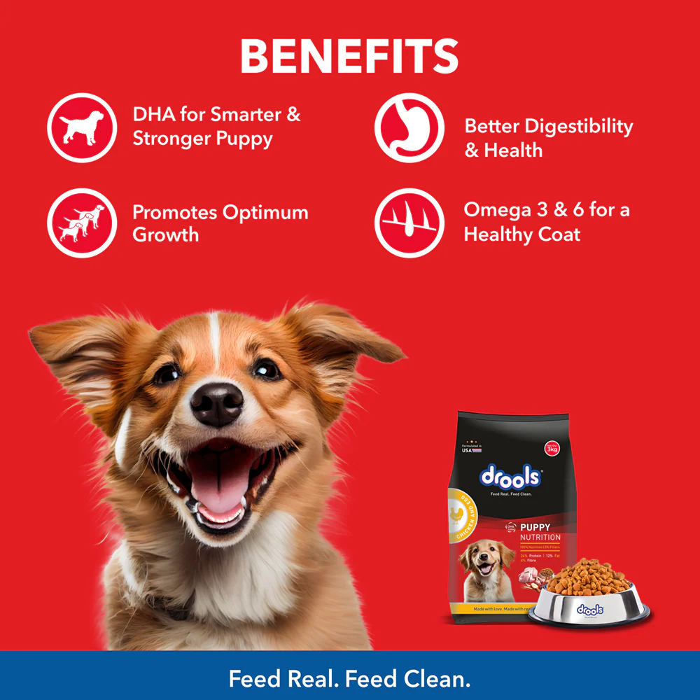Drools Meat and Milk Puppy Dog Dry Food - Image 3