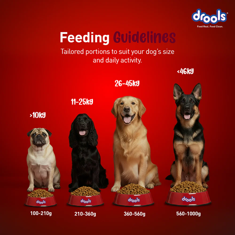 Drools Meat and Milk Puppy Dog Dry Food - Image 4