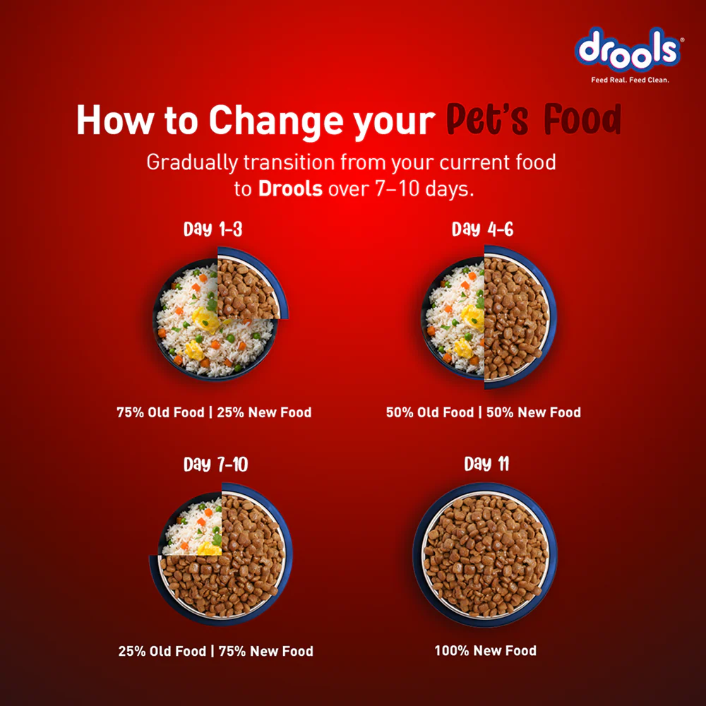 Drools Meat and Milk Puppy Dog Dry Food - Image 5