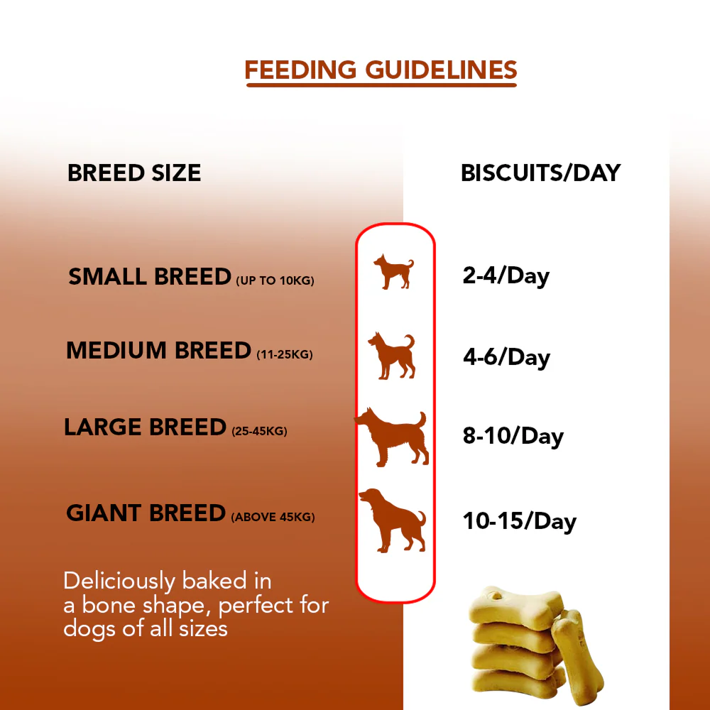 Active Mutton & Vegetable Flavour Biscuit Dog Treats (Buy 1 Get 1) - Image 5