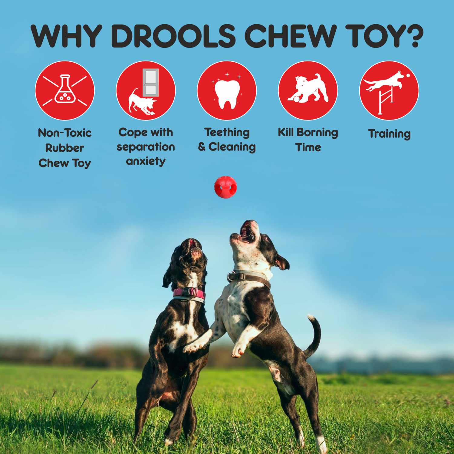 Drools Non Toxic Rubber Hole Ball Teething Toy for Puppies and Dogs | For Aggressive Chewers - Image 4