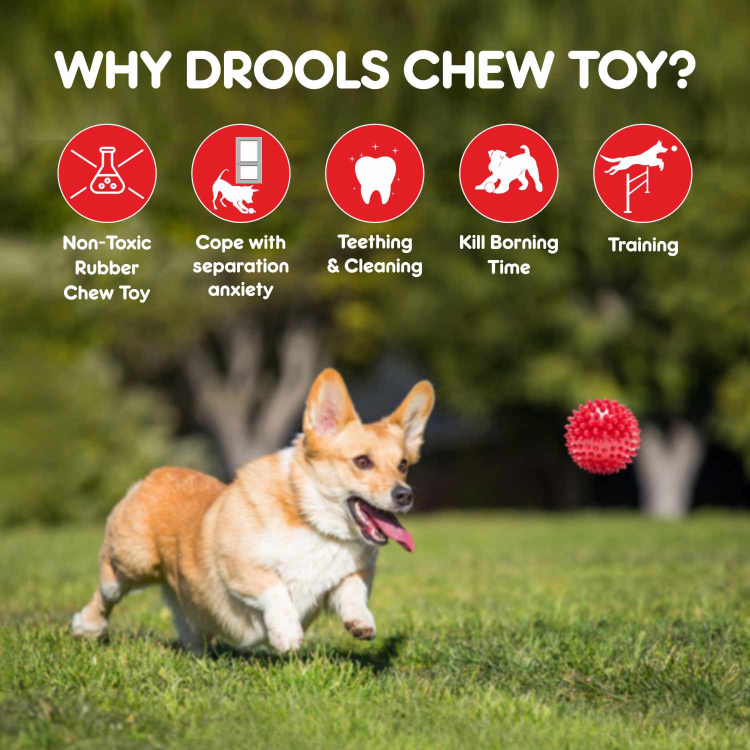 Drools Non Toxic Rubber Stud Spike Hard Ball Chew Teething Toy for Puppies and Dogs | For Aggressive Chewers - Image 4