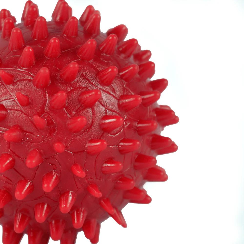Drools Non Toxic Rubber Stud Spike Hard Ball Chew Teething Toy for Puppies and Dogs | For Aggressive Chewers - Image 7