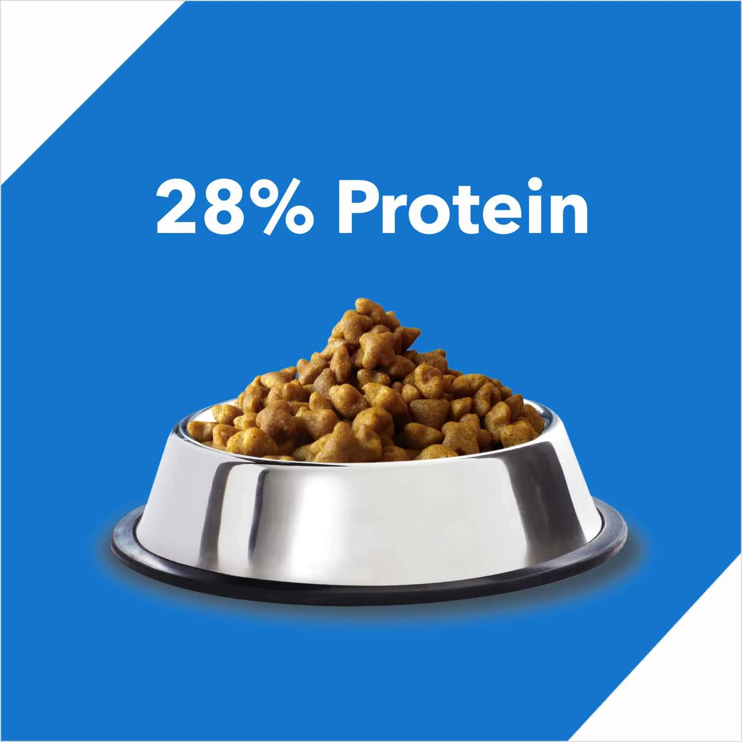 Drools Ocean Fish Adult Cat Dry Food - Image 2