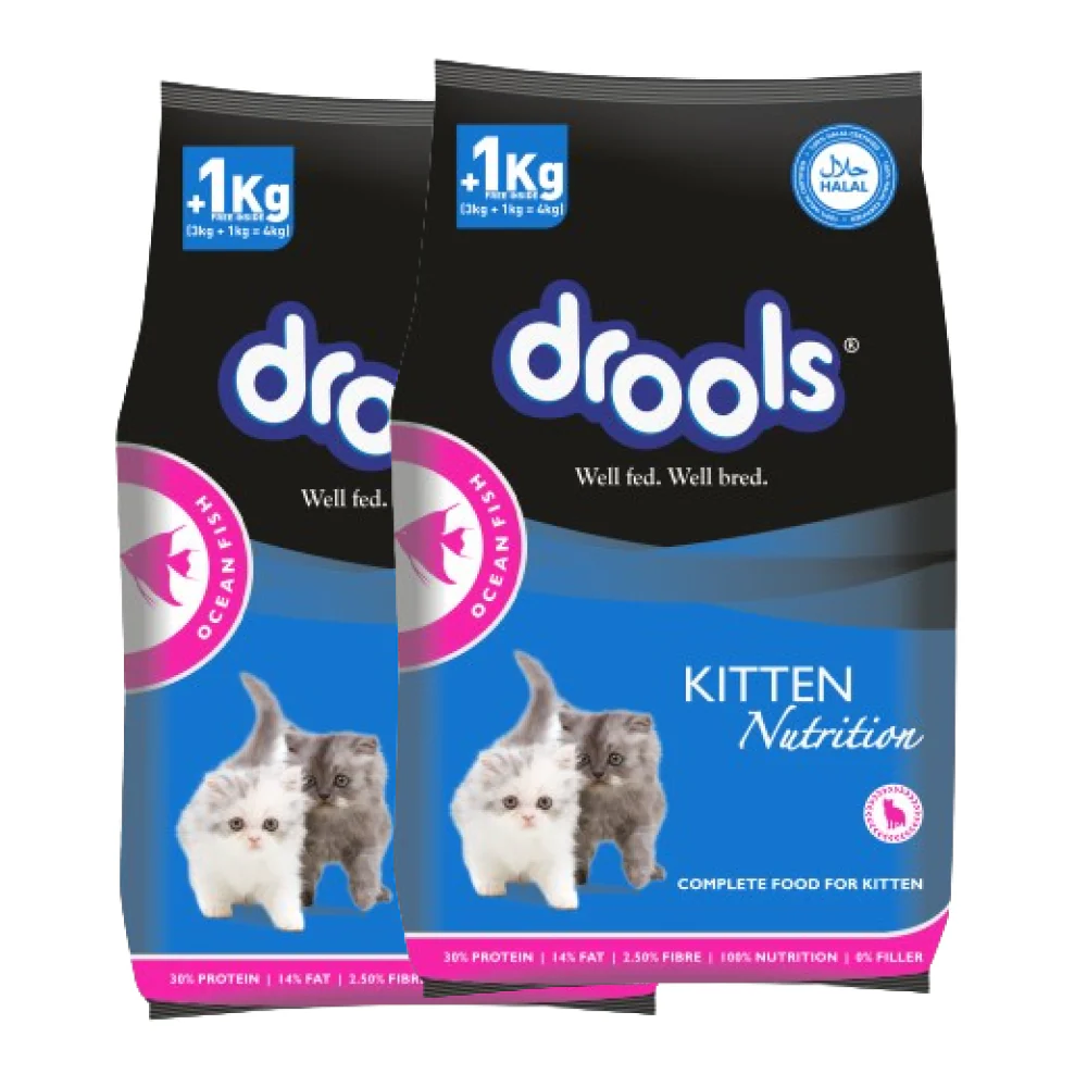 Drools Ocean Fish Kitten Cat Dry Food - Image 11
