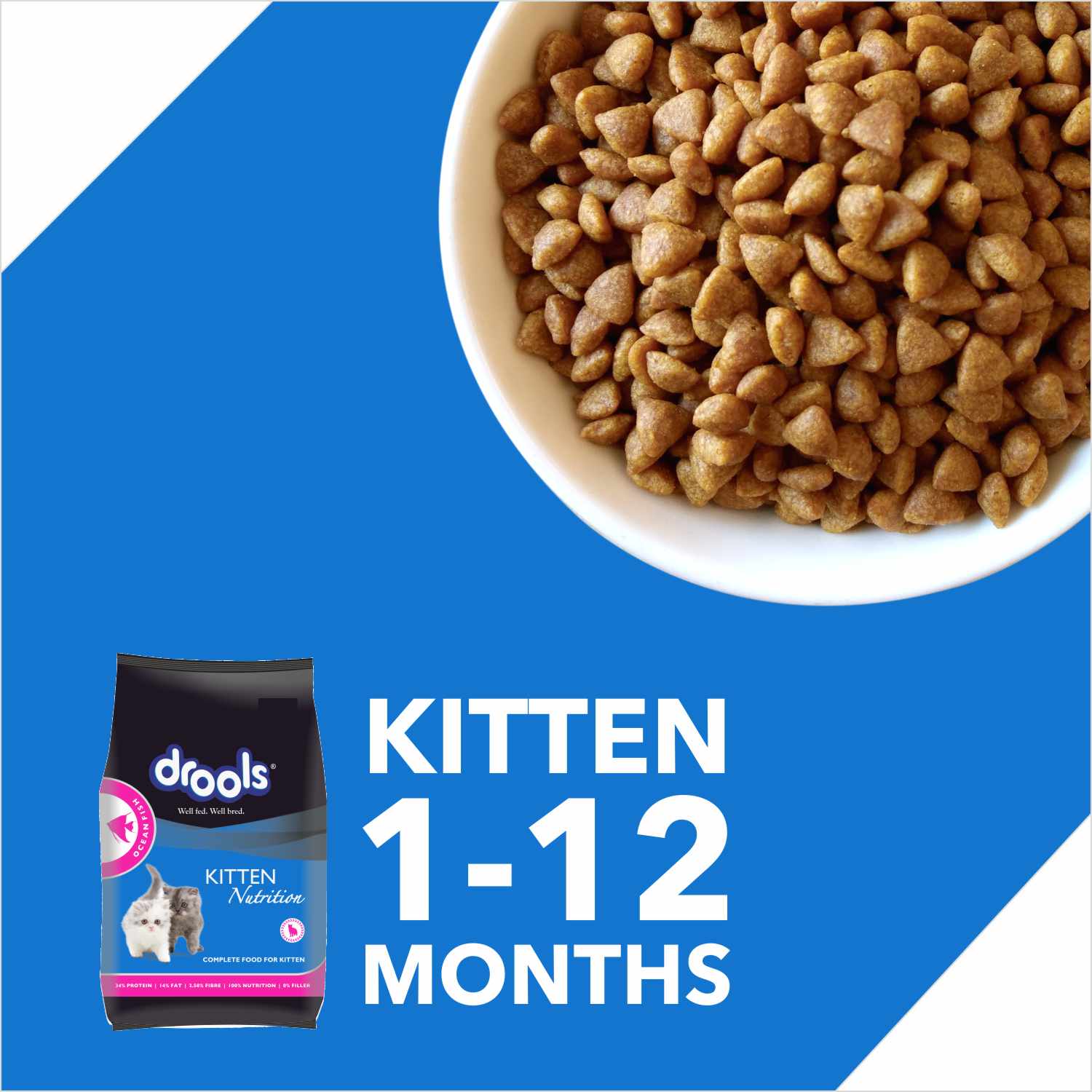 Drools Ocean Fish Kitten Cat Dry Food - Image 3