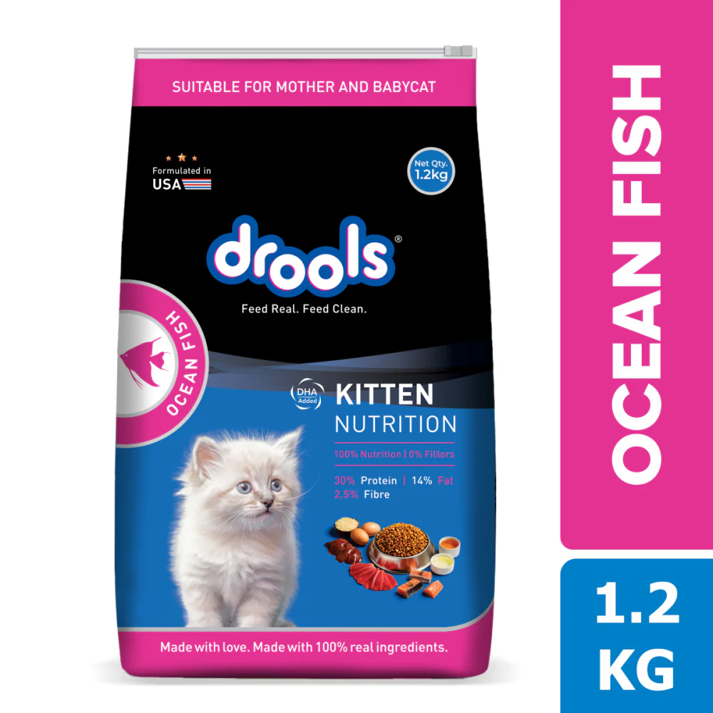 Drools Ocean Fish Kitten Cat Dry Food - Image 5