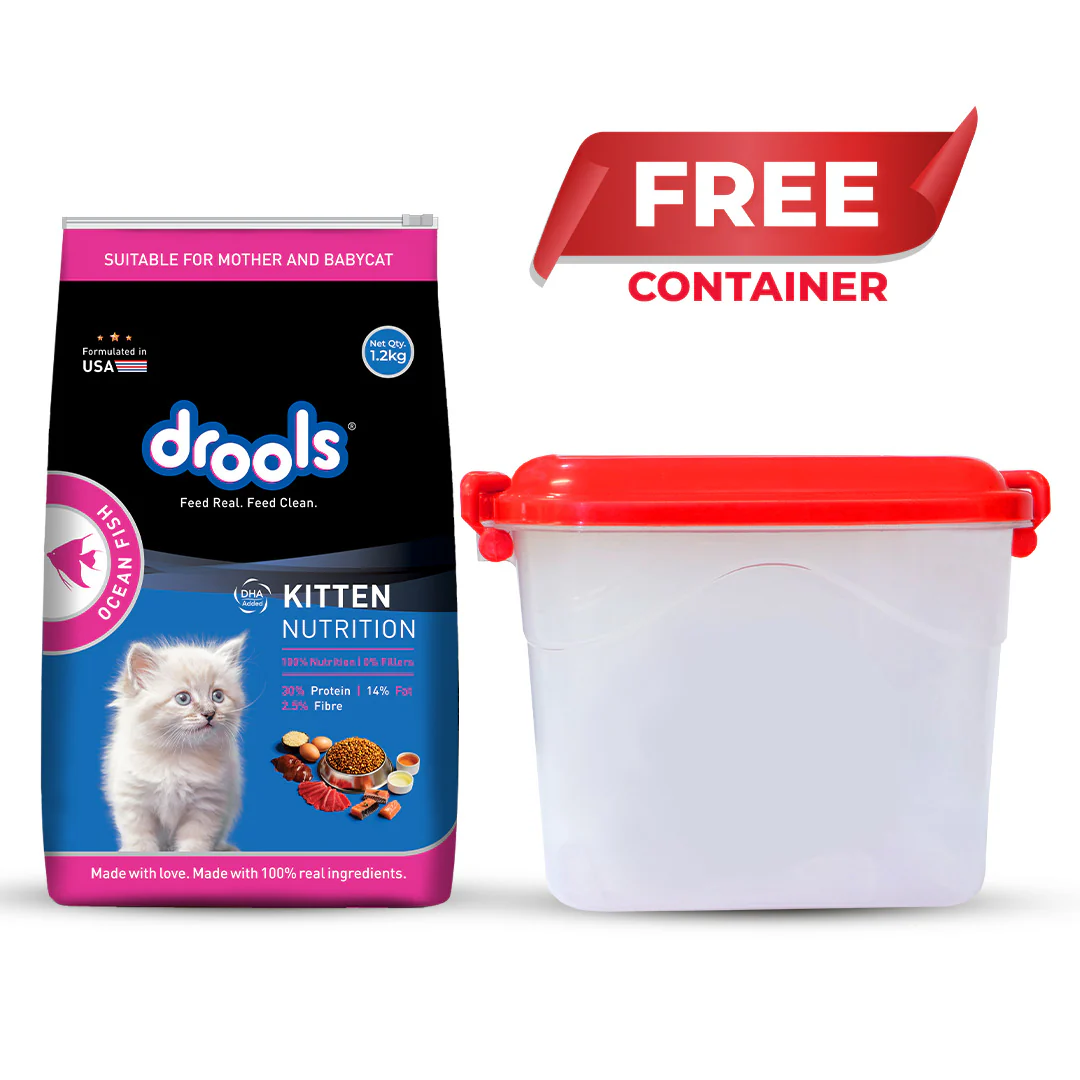 Drools Ocean Fish Kitten Cat Dry Food - Image 7