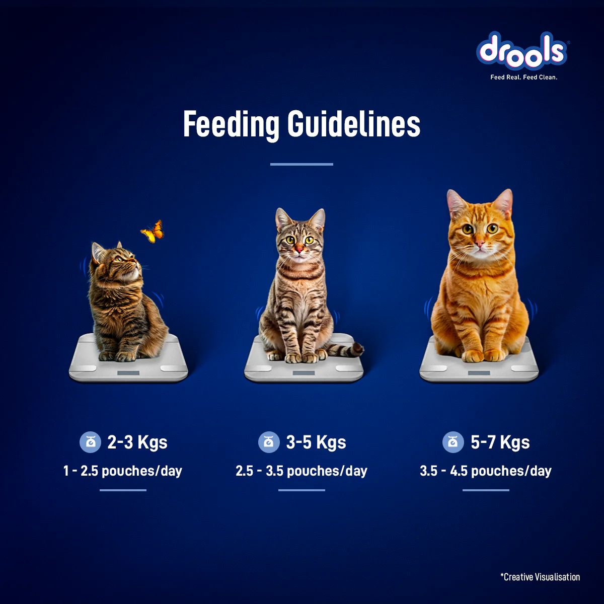 Drools Ocean Fish Mousse Adult Cat Wet Food - Image 7