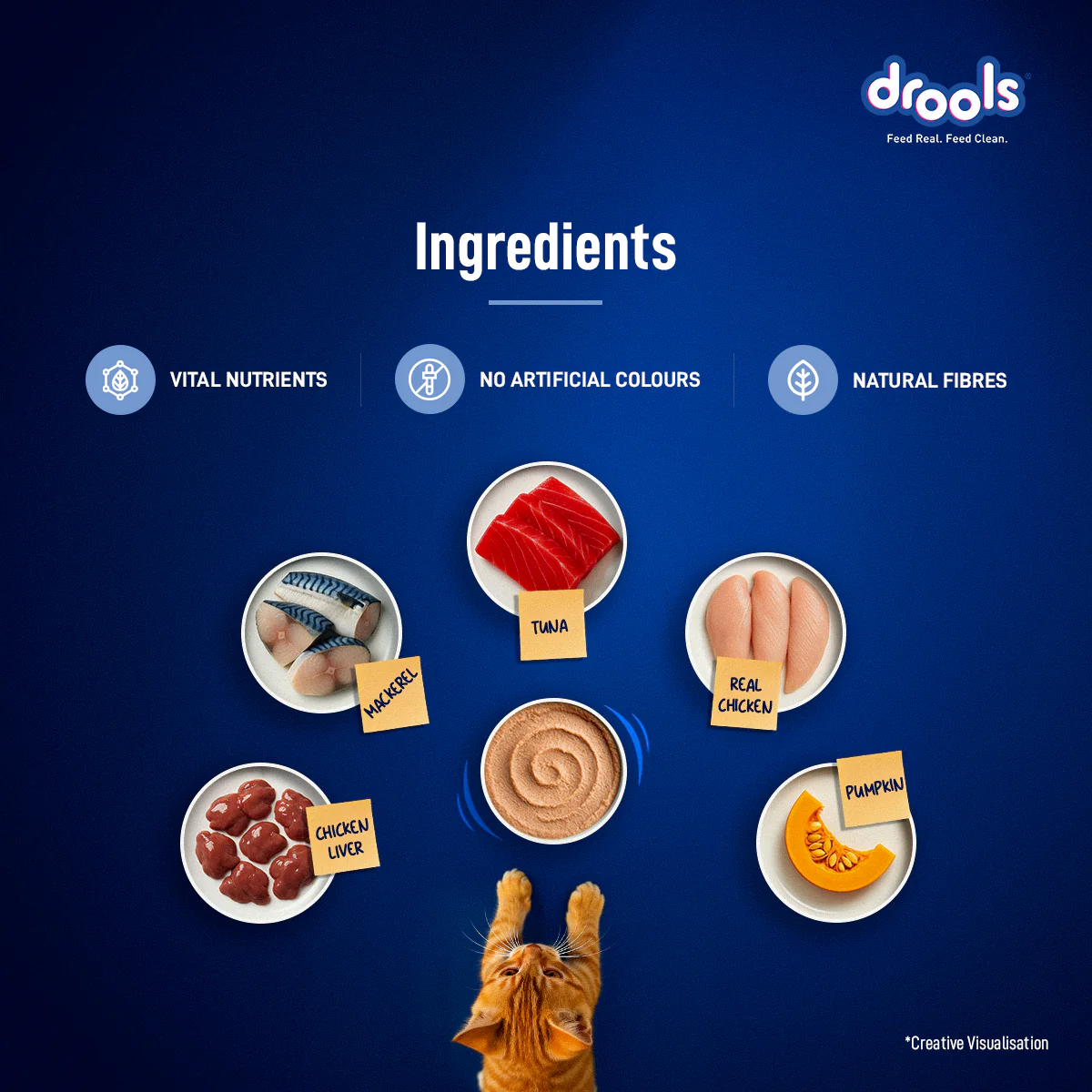 Drools Ocean Fish Mousse Kitten Cat Wet Food - Image 4